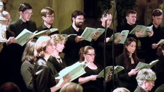 Brahms Requiem VII Selig sind die Toten · Danderyds Vokalensemble [upl. by Di]