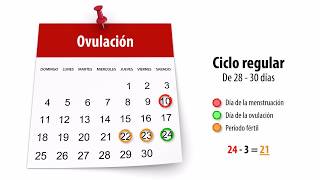 ▶️ ¿Cuáles son los días fértiles y cómo se calcula la ovulación [upl. by Adella]