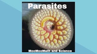 ParasitesSymbiotic Relationships [upl. by Aitnohs]