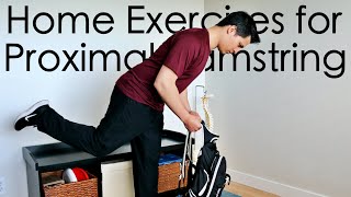 Proximal Hamstring Tendinopathy Exercises for Home [upl. by Skantze]