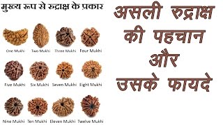 Rudraksh  किस रुद्राक्ष का क्या है फायदा और कैसे पहचाने   Types of Rudraksha  Mano Ya Na Mano [upl. by Anahsor]