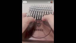 红河谷 seeds kalimba 24 key kalimbakalimbasongsmarimbas [upl. by Roshelle]