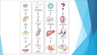 Pathology  Introduction and disease nomenclature [upl. by Incrocci]