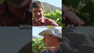 La Biodinámica explicada🧏‍♂️💬🏞️ shorts recomiendochile biodinamica [upl. by Canica]