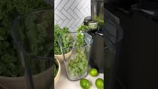 Alkaline Green Juice [upl. by Odnamla]