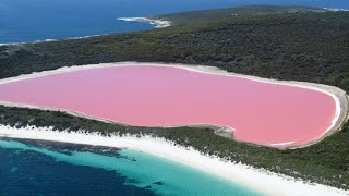 Why Australia Has Pink And Purple Lakes [upl. by Jaylene]