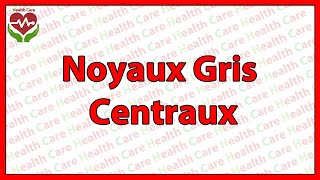 Noyaux gris centraux [upl. by Yrogerg504]