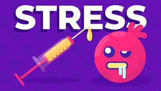 Feeling Stressed Blame Your Cortisol Levels Animation [upl. by Eidlog]