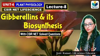 GIBBERELLIN AND ITS BIOSYNTHESIS PHYTOHORMONEPART8CSIR NET [upl. by Hutson]