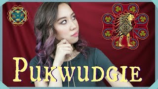 IM A PUKWUDGIE My Ilvermorny House 💖 [upl. by Sackman]