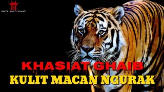 Khasiat Ghaib Kulit Macan  Harimau Asli [upl. by Helen417]