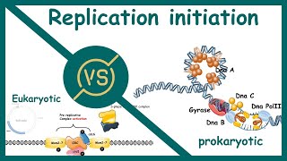 Replication  Eukaryotic vs prokaryotic replication Initiation  CSIR NET  GATE  IIT JAM  GATB [upl. by Sherman223]