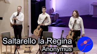 Tritonus Guitar Trio plays quotSaltarelloquot Anonymus  GFN 2023 [upl. by Kitchen]