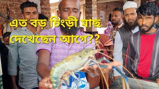 Fish Market in Bangladesh নিলামে মাছ বিক্রি [upl. by Eveam]