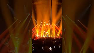 badshah concert live song bollywood aliabhatt varundhawan hindi punjabi london nightlife [upl. by Dodie]