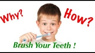 Why amp how to brush your teeth [upl. by Nenad]