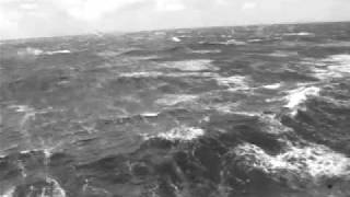 Ferry Crossing from Newfoundland to Nova Scotia [upl. by Eaned]