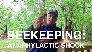 BEEKEEPING Honeybee Allergy Anaphylactic Shock [upl. by Sapers]