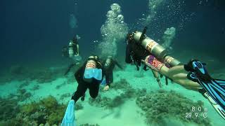 Floreat Scuba Diving Trip to Egypt [upl. by Ernesta80]