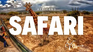 Un SAFARI en el estado de Hidalgo AFRICA en Mexico TUZOOFARI 4K [upl. by Euqitsym]