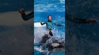 smart dolphin loves😍 Humans shorts viralvideo [upl. by Haskins345]