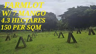 vlog 512 FARMLOT IN BALUNGAO PANGASINAN 43HAS150 PER SQM [upl. by Naji]