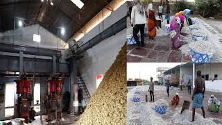 Cotton Seeds Oil mill  Cotton seed Oil factory [upl. by Aikimat]