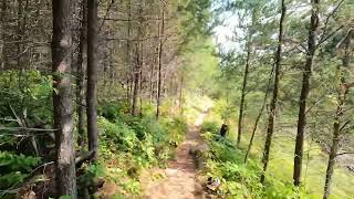 Portage  Larch Lake to Larch Creek near Clove Lake in the BWCA [upl. by Zanahs850]