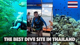 Scuba diving in Chumphon Thailand Koh Tao [upl. by Killarney538]