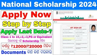 National Scholarship Apply Process 2024How To Apply For National Scholarship 2024NSP Scholarship [upl. by Eelreveb13]