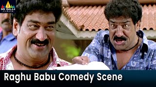 Raghu Babu Ultimate Comedy Scene  Annavaram  Telugu Funny Scenes SriBalajiComedy [upl. by Mitzi]