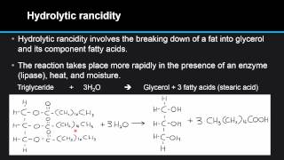 F34 Compare the processes of hydrolytic and oxidative rancidity in lipids [upl. by Cam]