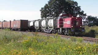 Bentheimer Eisenbahn  Pinnow Shuttle Zug in der Grafschaft [upl. by Mutz]