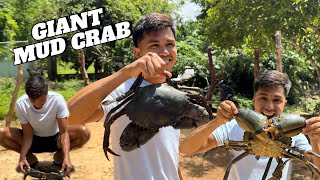 Naka chamba ng Giant mud crab bangloytv [upl. by Cimah]