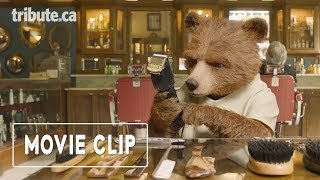 PADDINGTON 2  Spot quotBarbierquot [upl. by Boris]