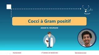 Fahemni Cocci à Gram positif  Pneumocoques  Entérocoques [upl. by Ispep]