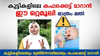 കഫക്കെട്ട് മാറാൻ ഈ ഒറ്റമൂലി മാത്രം മതി  kapha kettu maran ottamooli  Arogyam [upl. by Yun]