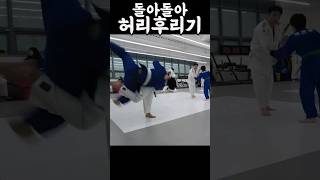 허리후리기 Harai goshi judo [upl. by Frisse740]