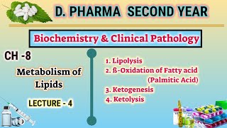 Lipid metabolism  CH8  L4  Biochemistry and clinical pathology  DPharm second year [upl. by Sandler398]