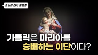 천주교 가톨릭은 정말 이단일까  오늘의 신학 궁금증 [upl. by Jones]