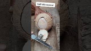 open half old coconut satisfying [upl. by Animsay]