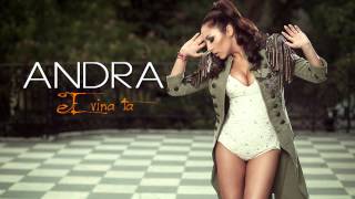 Andra  E Vina Ta Radio Edit [upl. by Norra953]