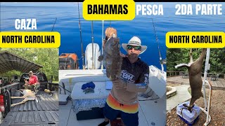 🎣2DA PARTE PESCANDO🐟SOLO BIMINI 🇧🇸BAHAMAS 🇧🇸 [upl. by Mossberg]