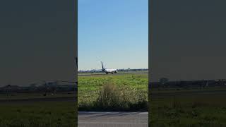 Sunwing Airlines  Royalton Luxury Resort Livery B737 Toronto to Punta Cana flightspotting yyz [upl. by Sherourd]