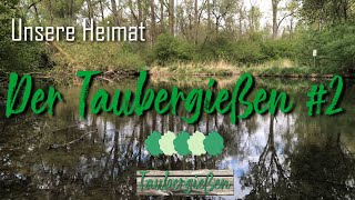 Dschungelgebiete Deutschlands  Der Taubergießen 🇩🇪 🌳🌳🌳 [upl. by Aicirtak151]