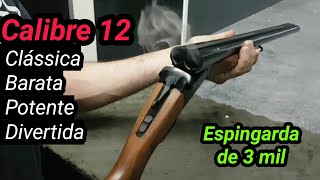 BOITO A680 calibre 12 Clássica barata e esquecida Espingarda de 2 canos paralelos e 2 gatilhos [upl. by Naasah]