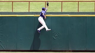 Greatest Catches in MLB History [upl. by Inimod]