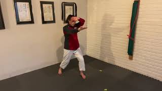 How to do karate in place stationary stance drills [upl. by Aicirtal820]