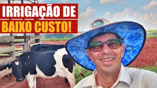 Qual o CUSTO da IRRIGAÇÃO em um Hectare para Iniciar na ATIVIDADE LEITEIRA [upl. by Vadnee401]