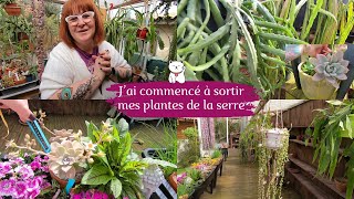 Jai commencé à sortir des plantes de la serre 🌵Et les floraisons avancent très bien🌸 [upl. by Georgie]